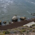 Piedras talladas en playa patagonica, chubut